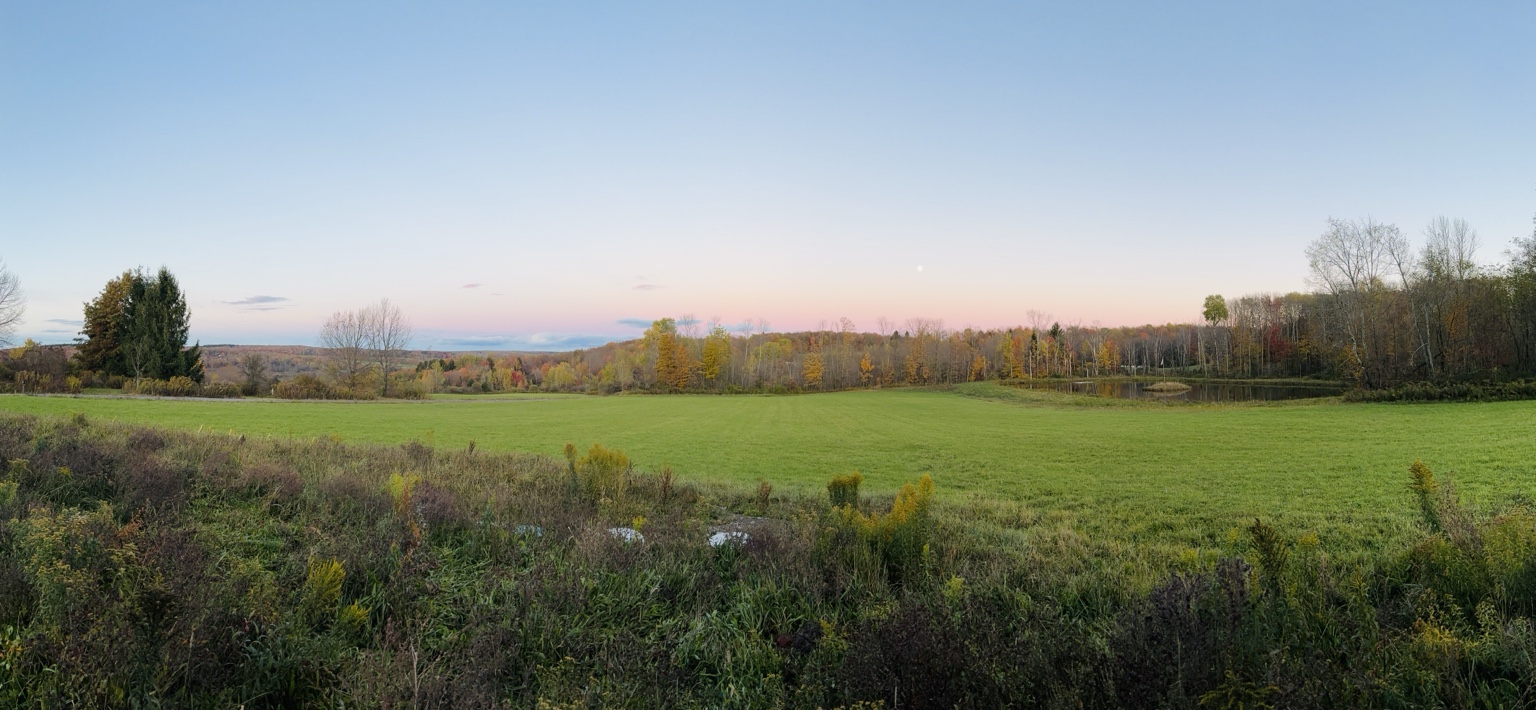 Camp Bulletproof field and tree line landscape